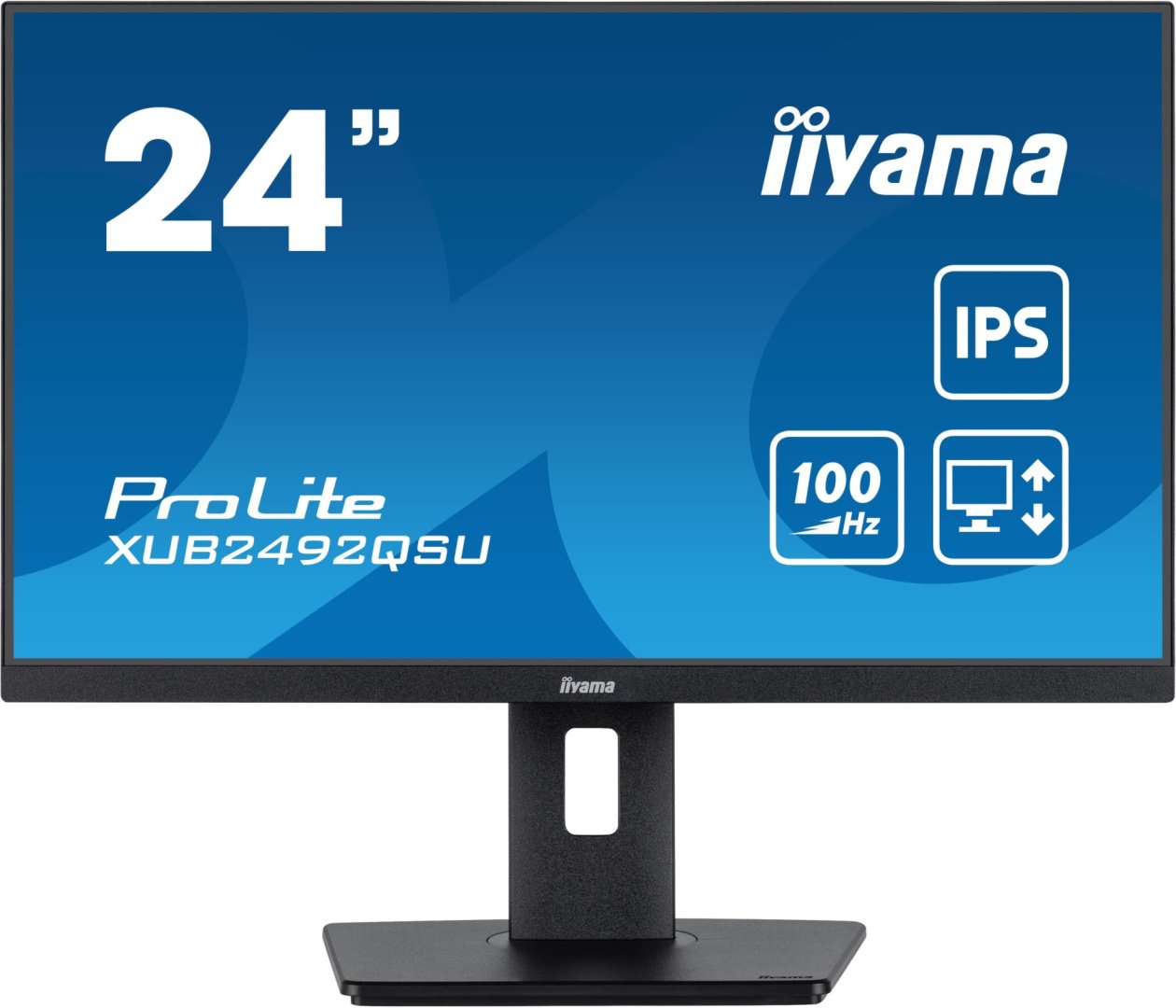 Монитор 23.8" Iiyama XUB2492QSU-B1 черный купить,93000