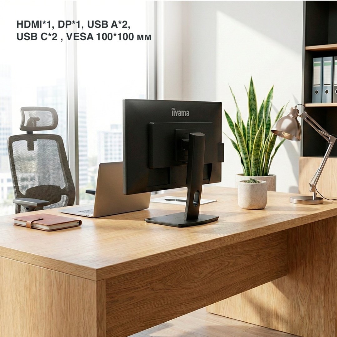 Монитор 23.8" Iiyama ProLite / X2497HSU-B1 черный