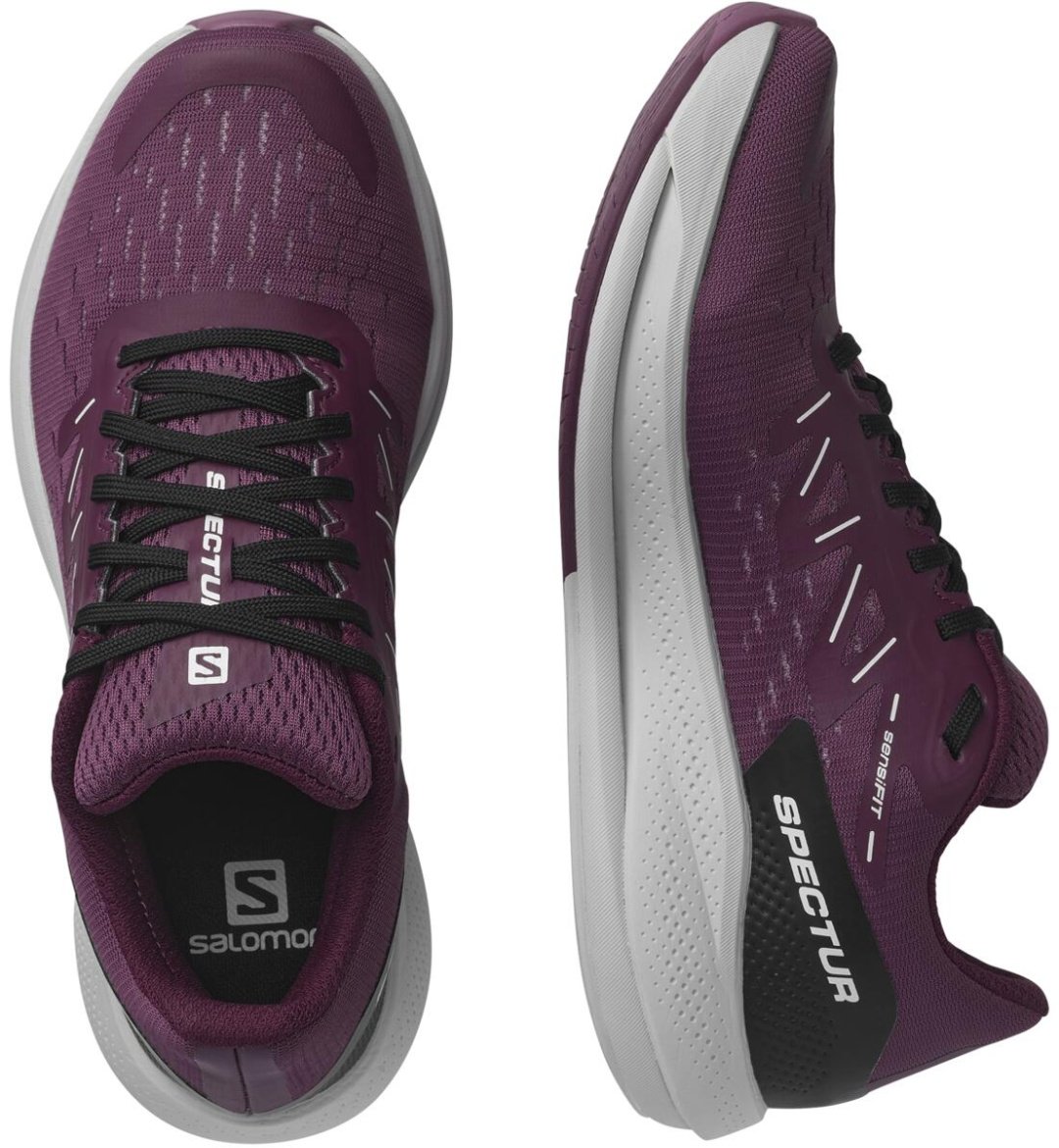 Кроссовки Salomon Spectur L41589100 мультиколор