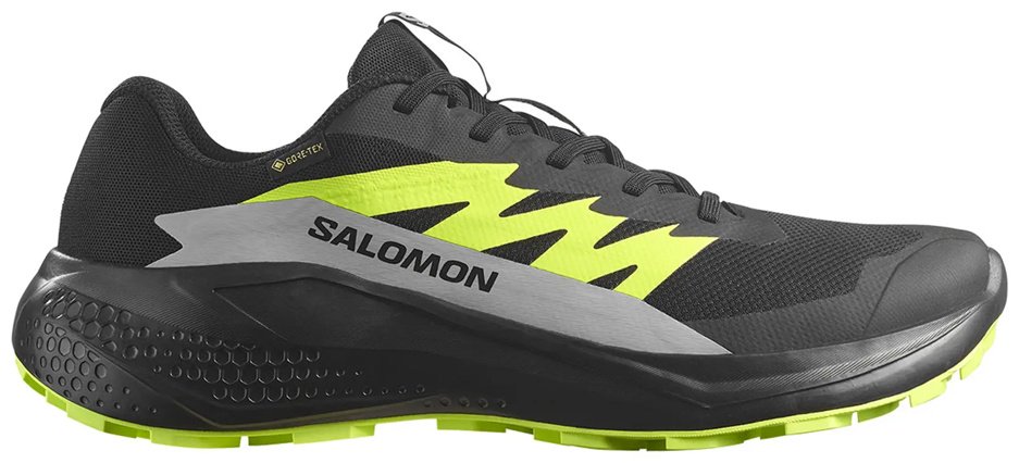 Кроссовки Salomon Alphaglide gtx черный
