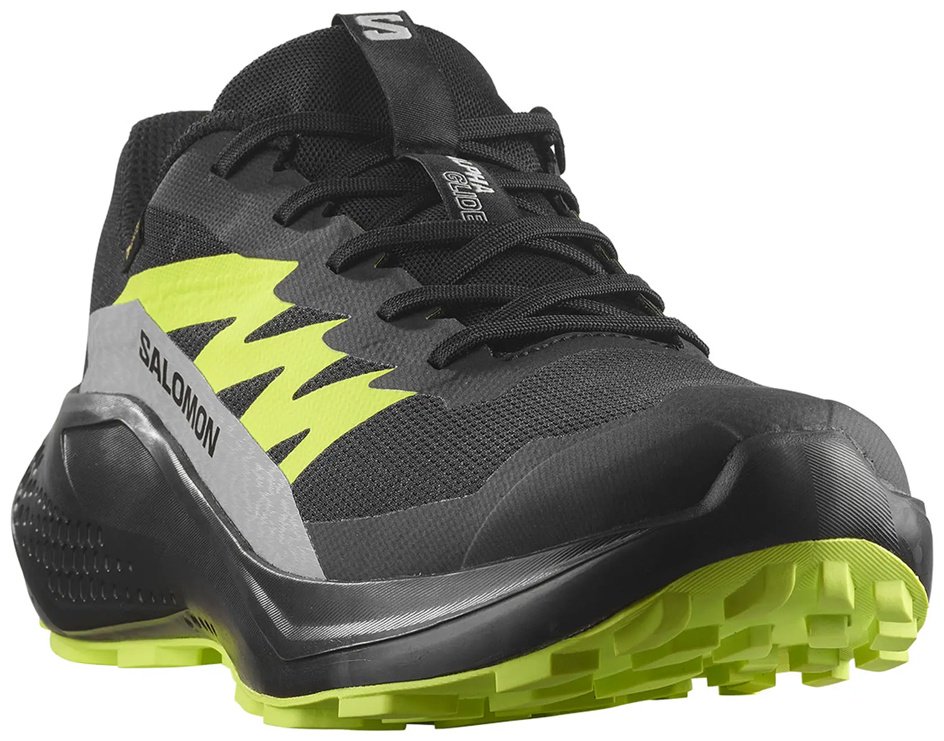 Кроссовки Salomon Alphaglide gtx черный