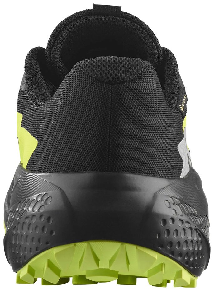 Кроссовки Salomon Alphaglide gtx черный