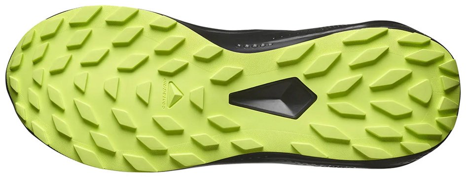 Кроссовки Salomon Alphaglide gtx черный