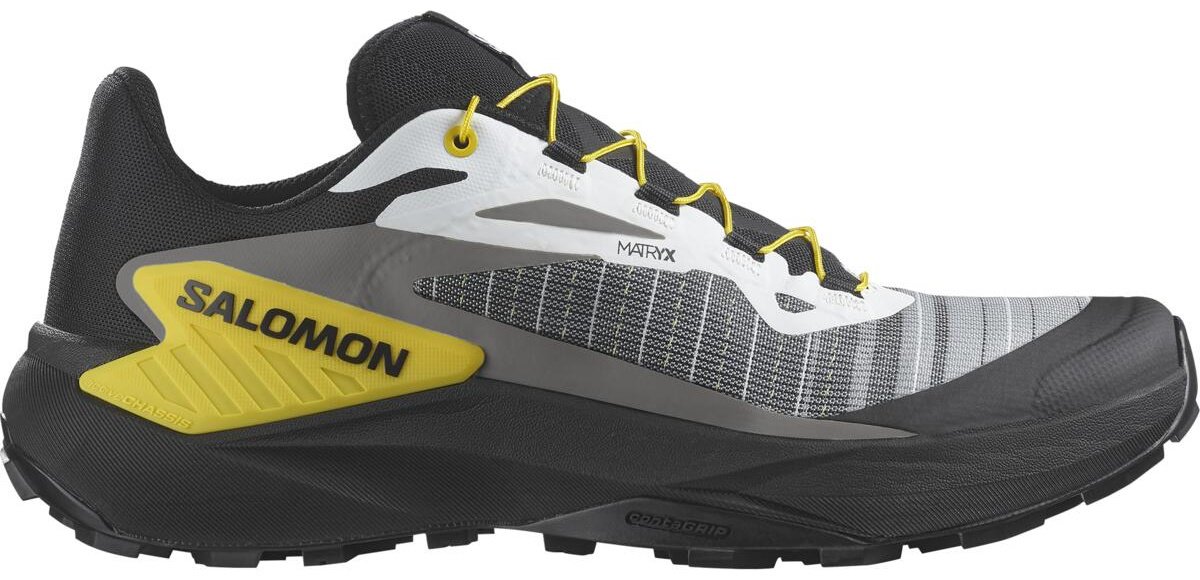 Кроссовки Salomon GENESIS серый