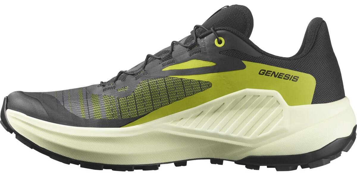 Кроссовки Salomon GENESIS зеленый купить,89900