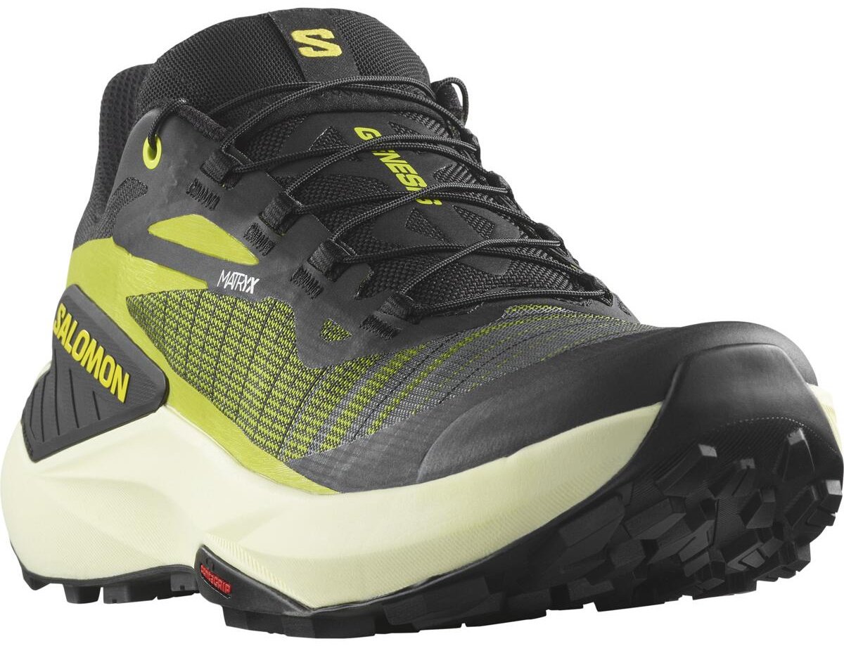 Кроссовки Salomon GENESIS зеленый купить,89900