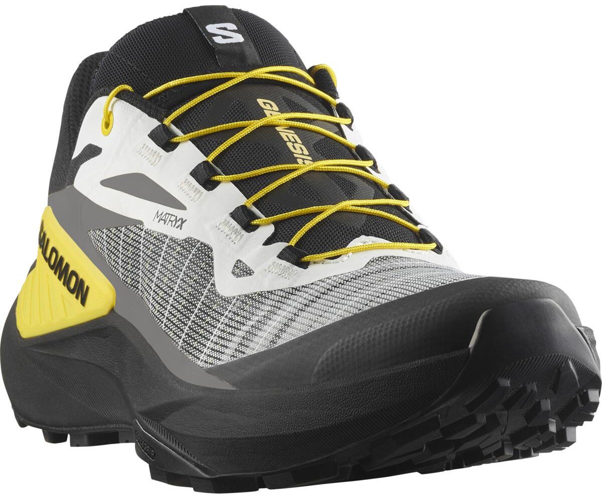 Кроссовки Salomon GENESIS серый