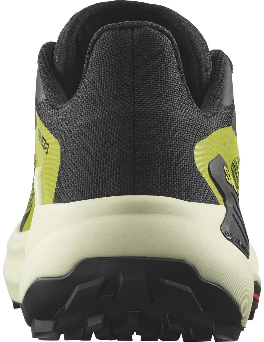 Кроссовки Salomon GENESIS зеленый купить,89900