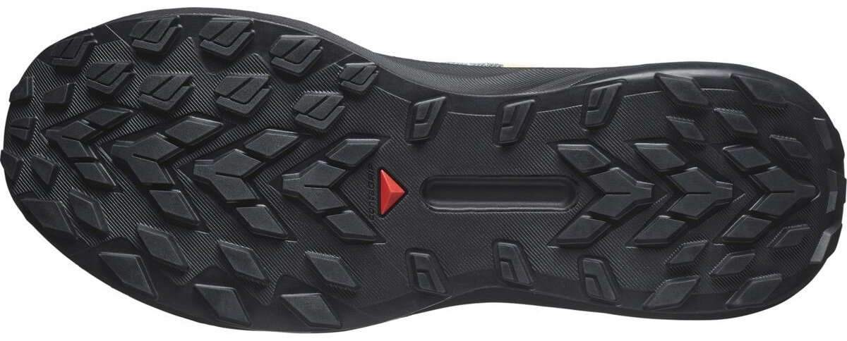 Кроссовки Salomon GENESIS серый