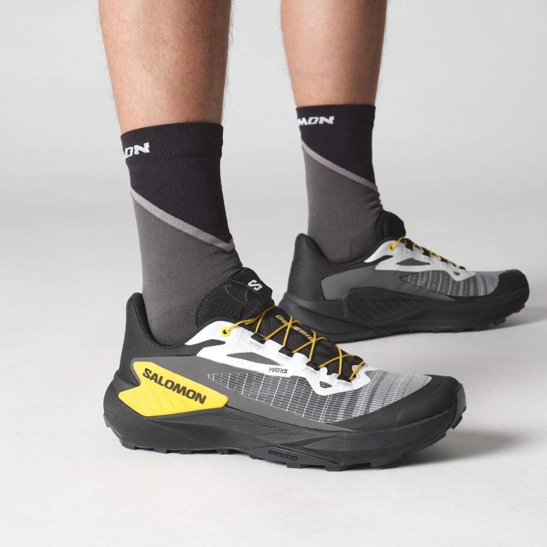 Кроссовки Salomon GENESIS серый купить,96900