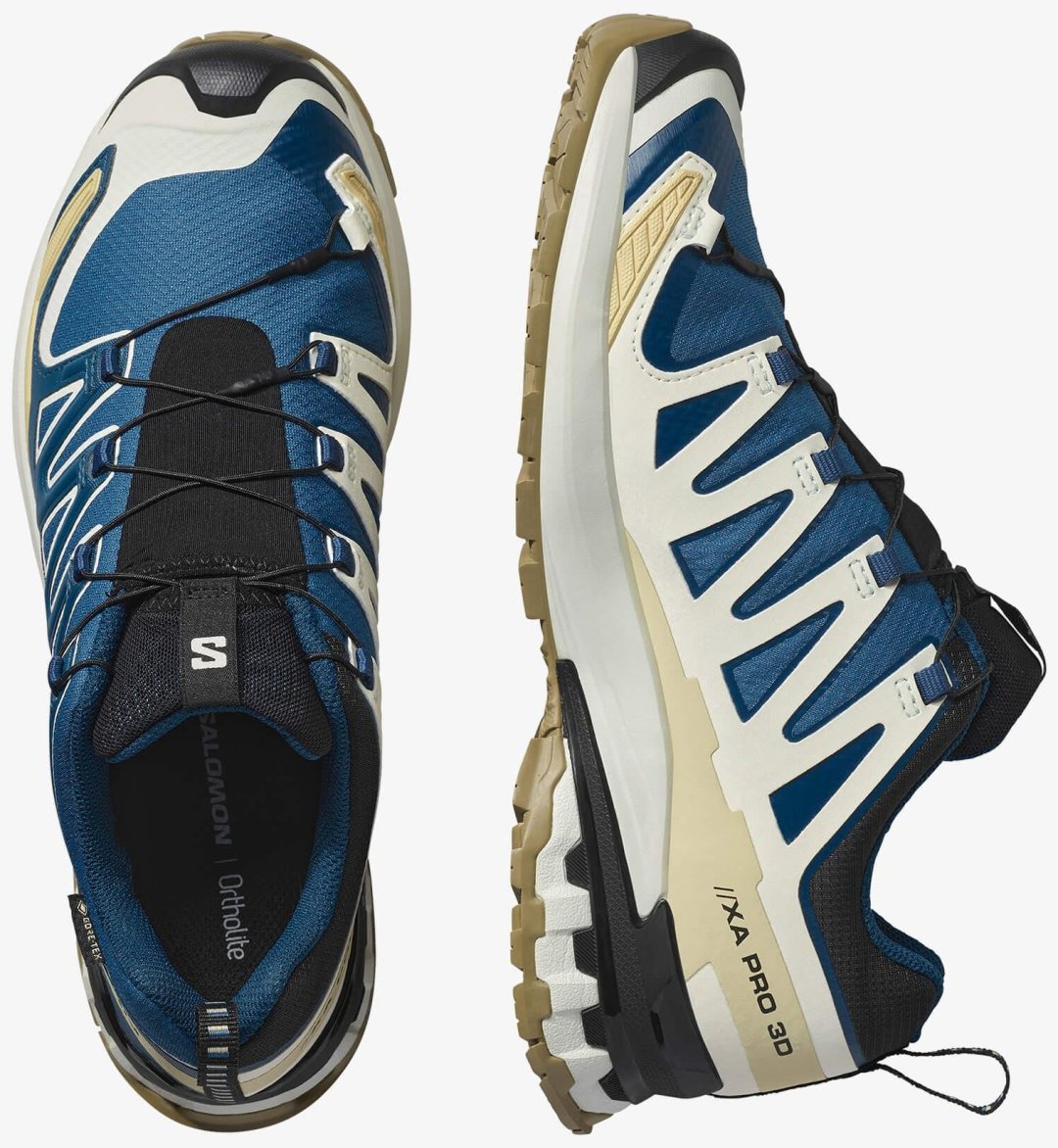 Кроссовки Salomon Xa Pro 3D V9 GTX синий купить,99900