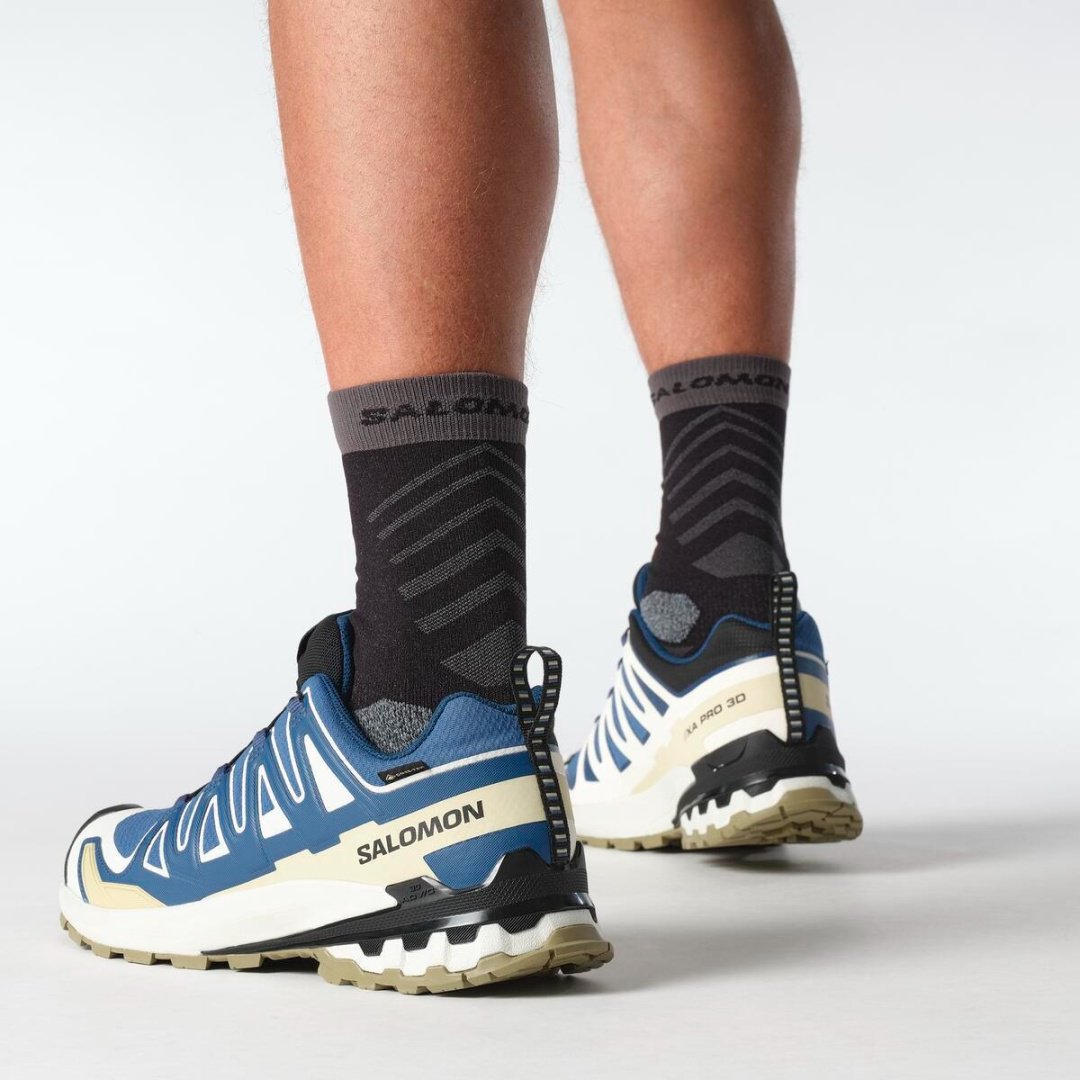 Кроссовки Salomon Xa Pro 3D V9 GTX синий купить,NaN