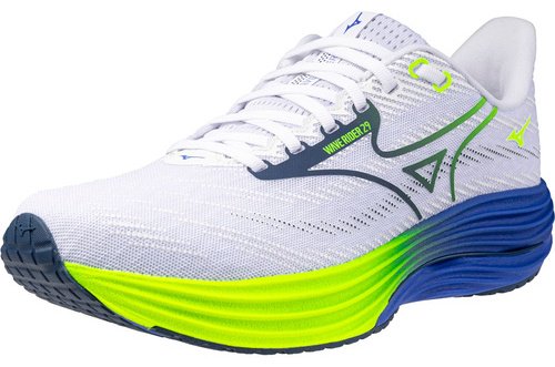 Кроссовки Mizuno Wave Rider 29 мультиколор купить,89900