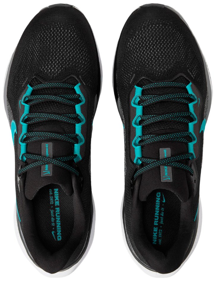 Кроссовки Nike Air zoom pegasus 41 черный купить,NaN