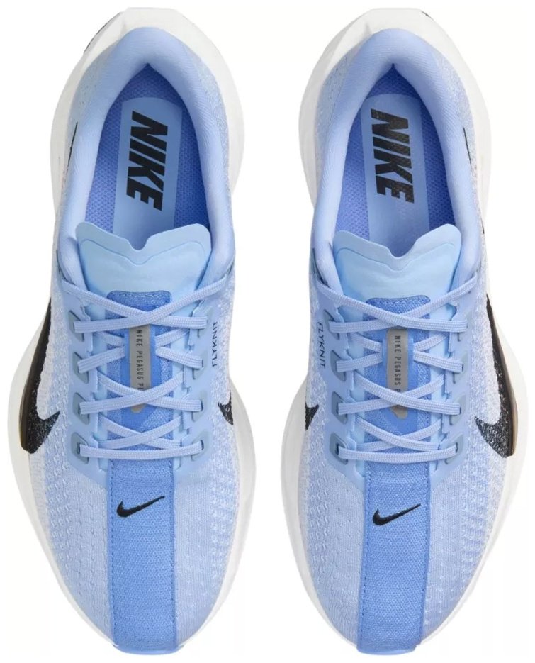 Кроссовки Nike Pegasus plus голубой