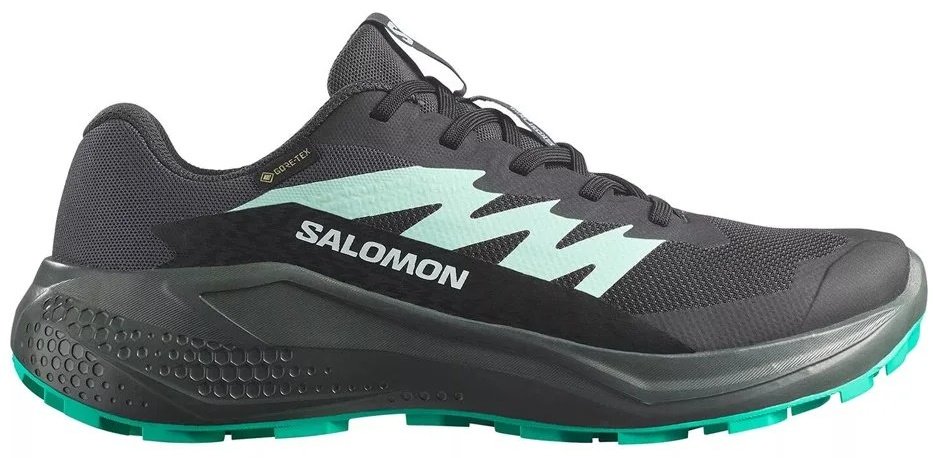 Кроссовки Salomon Alphaglide GTX черный