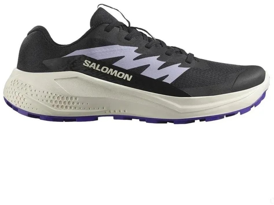 Кроссовки Salomon Alphaglide черный