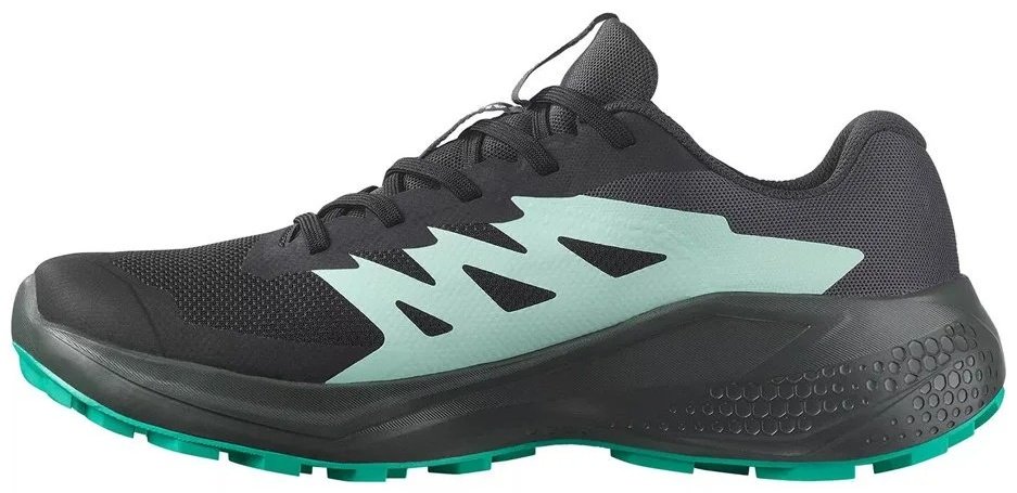 Кроссовки Salomon Alphaglide GTX черный
