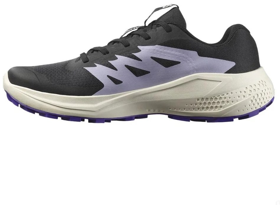 Кроссовки Salomon Alphaglide черный