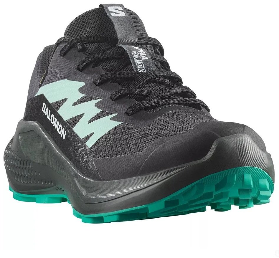 Кроссовки Salomon Alphaglide GTX черный