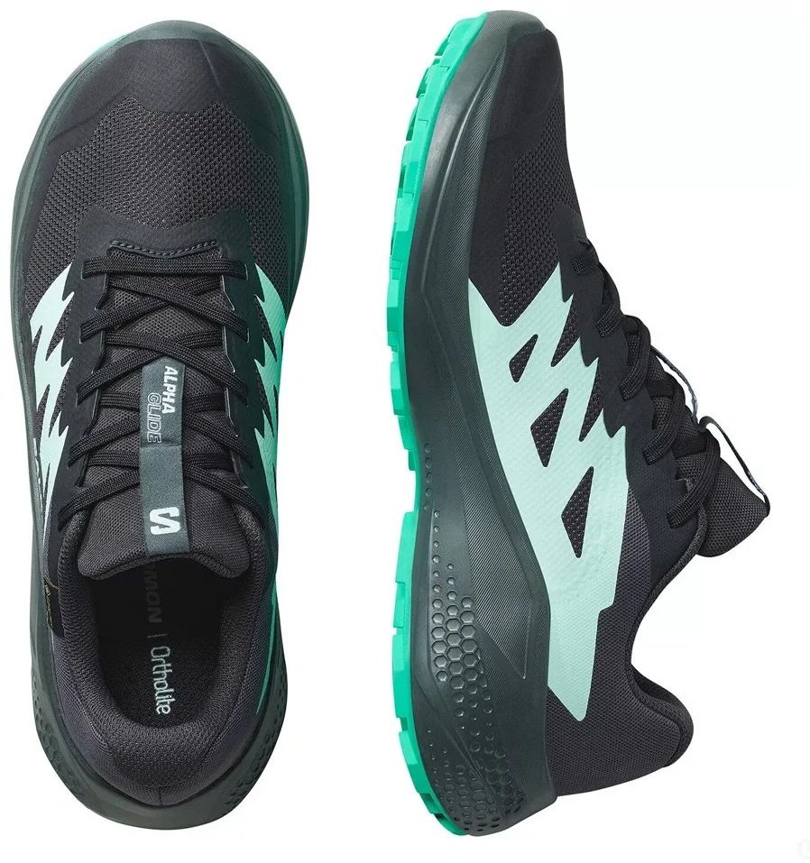 Кроссовки Salomon Alphaglide GTX черный