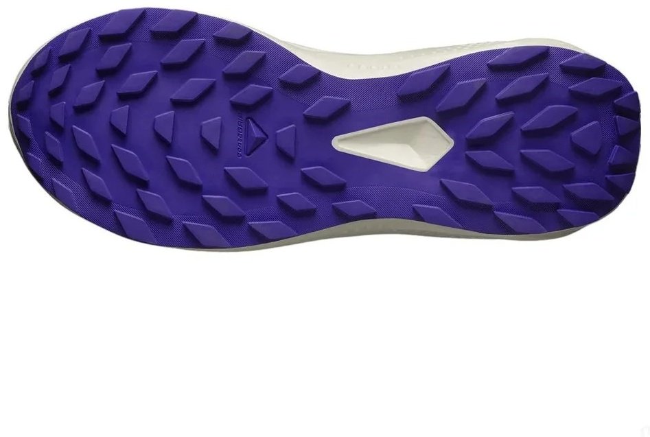 Кроссовки Salomon Alphaglide черный