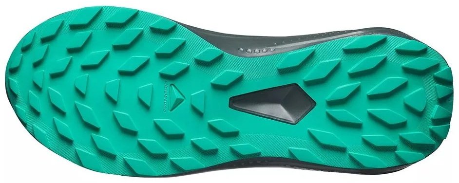 Кроссовки Salomon Alphaglide GTX черный