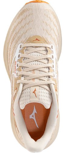 Кроссовки Mizuno Wave Rider 29 мультиколор