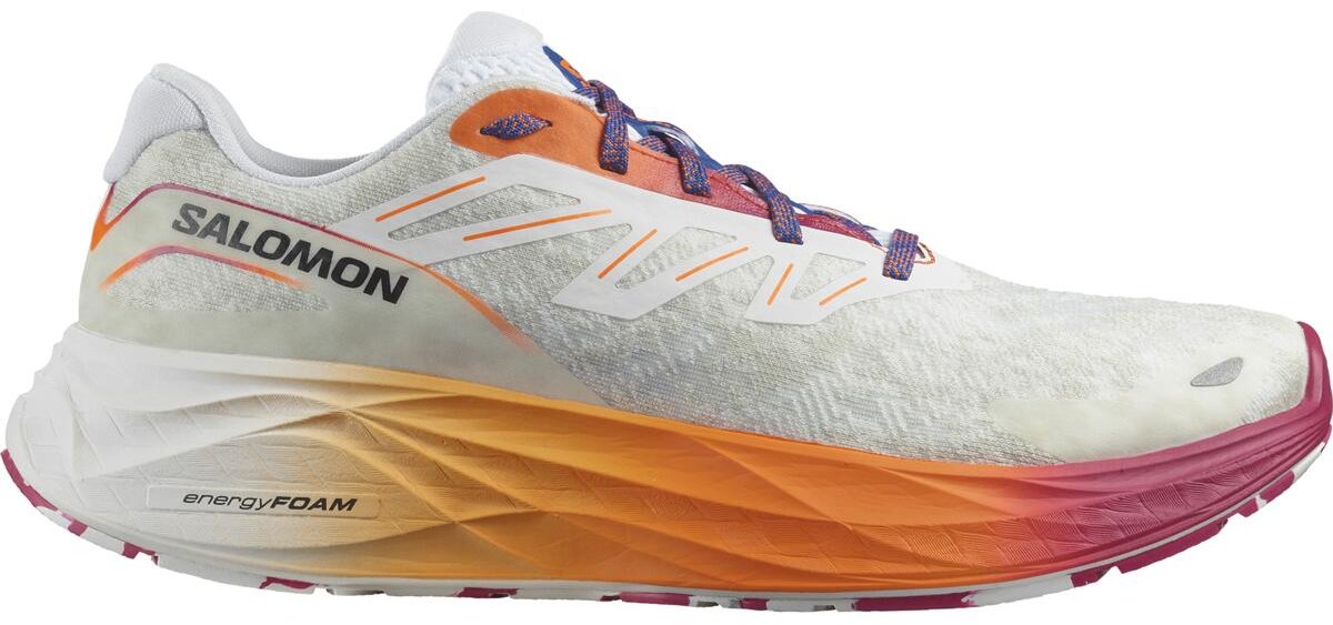 Кроссовки Salomon Aero Glide 2 мультиколор купить,NaN