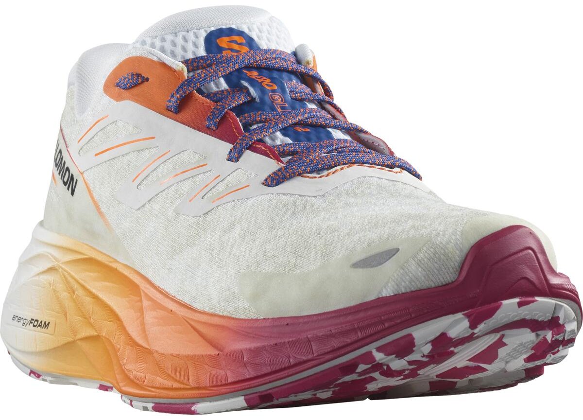 Кроссовки Salomon Aero Glide 2 мультиколор купить,NaN
