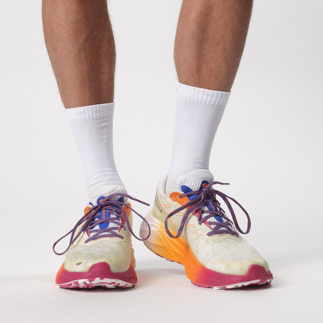 Кроссовки Salomon Aero Glide 2 мультиколор купить,NaN