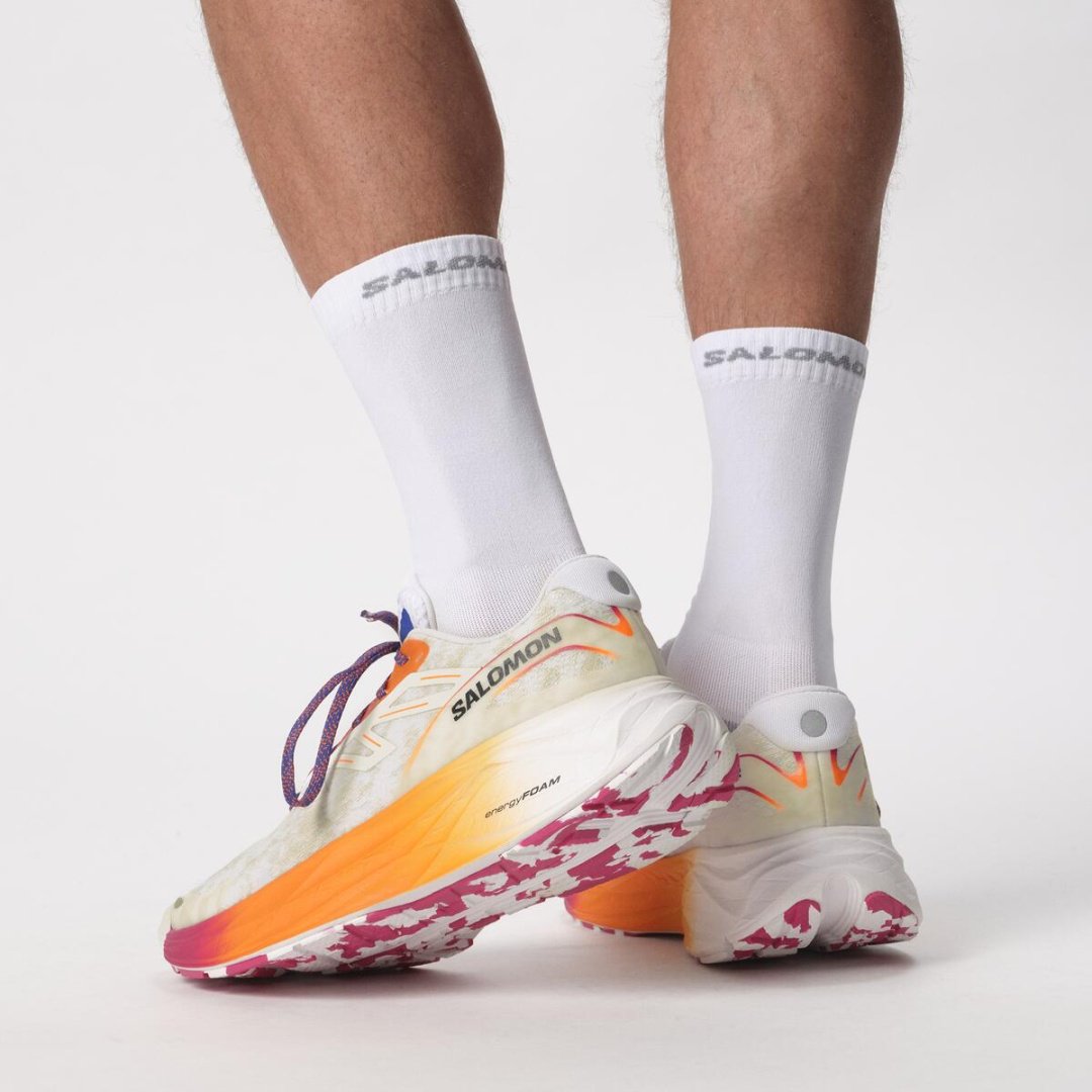 Кроссовки Salomon Aero Glide 2 мультиколор купить,NaN