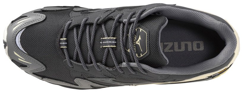 Кроссовки Mizuno Wave Rider 10 Cordura темно-серый, молочный купить,99900