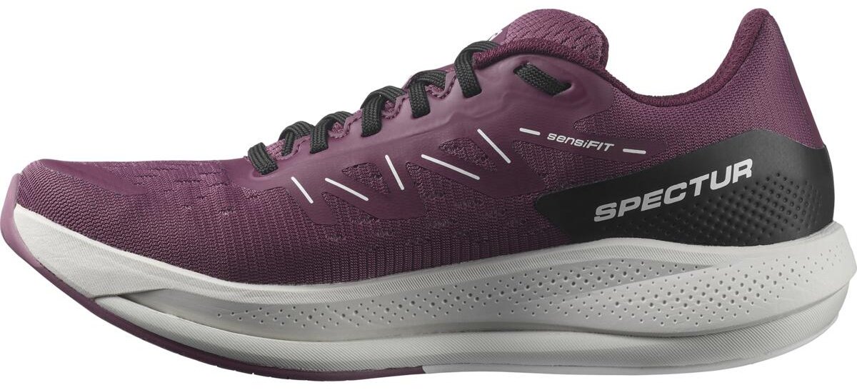 Кроссовки Salomon Spectur L41589100 мультиколор