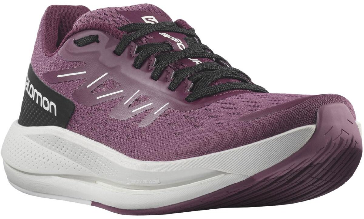 Кроссовки Salomon Spectur L41589100 мультиколор