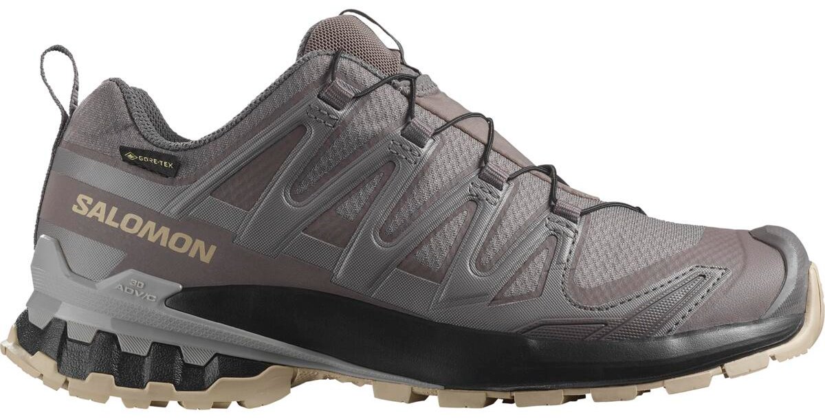 Кроссовки Salomon XA PRO 3D V9 GTX W мультиколор