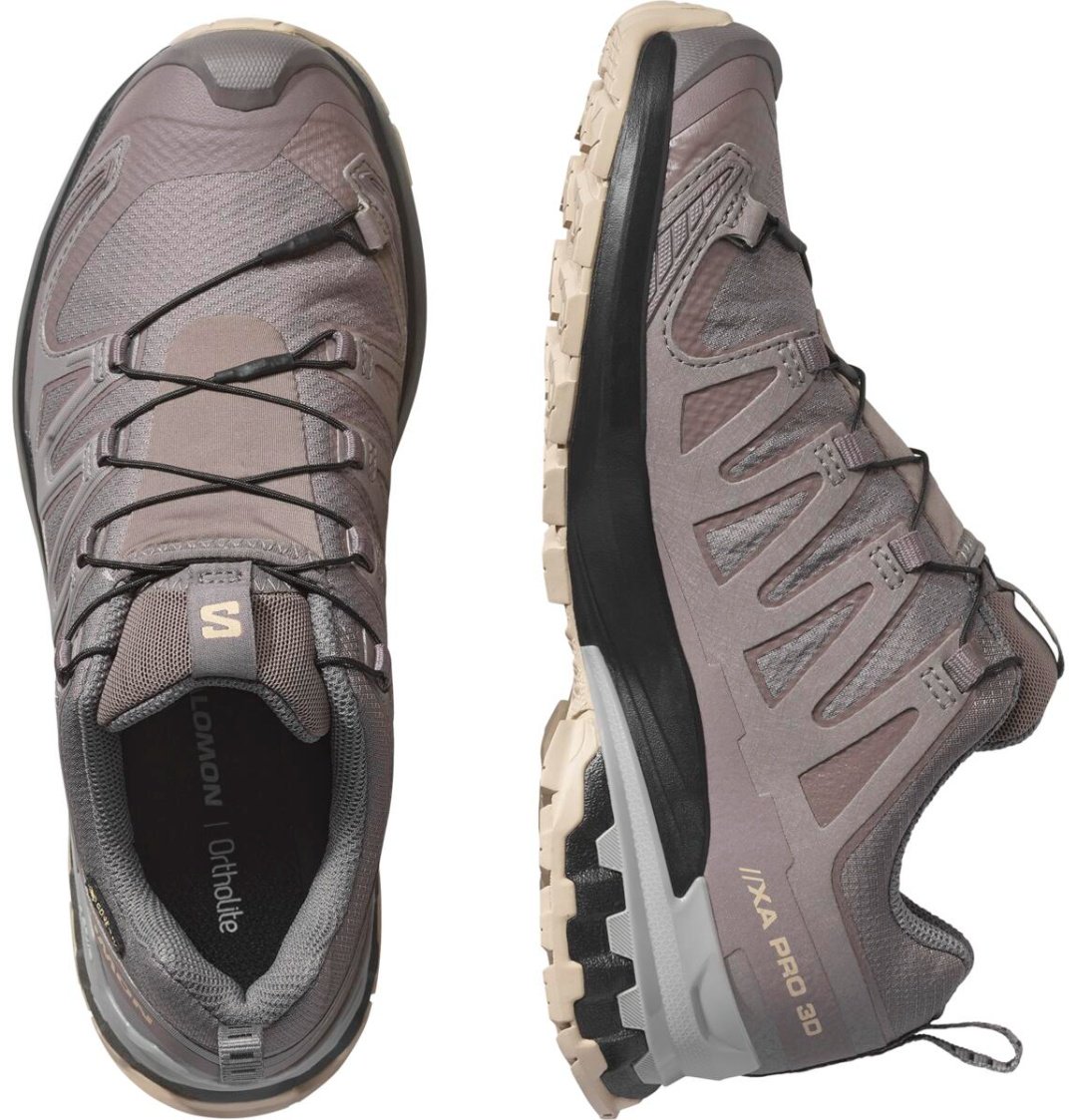 Кроссовки Salomon XA PRO 3D V9 GTX W мультиколор