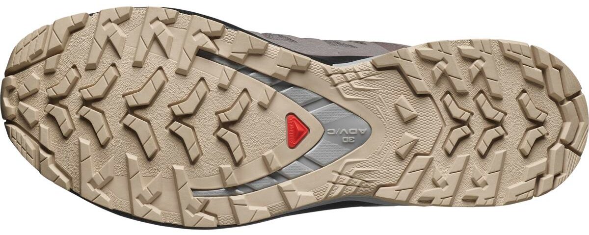 Кроссовки Salomon XA PRO 3D V9 GTX W мультиколор