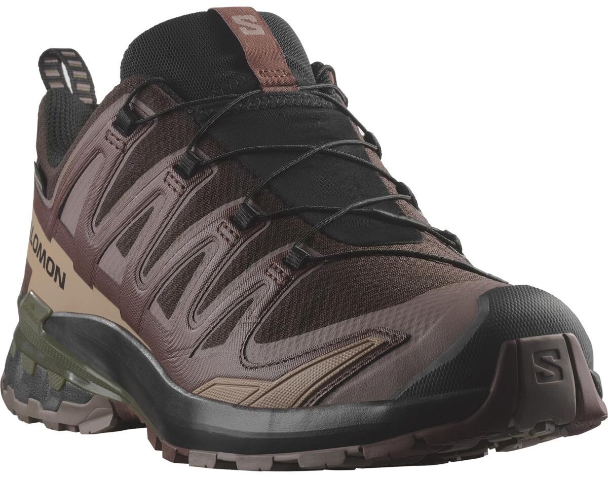 Кроссовки Salomon Xa Pro 3D V9 GTX бордовый
