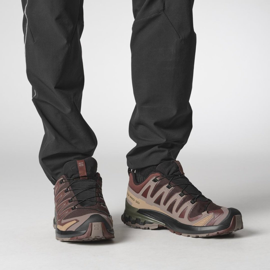 Кроссовки Salomon Xa Pro 3D V9 GTX бордовый купить,99900