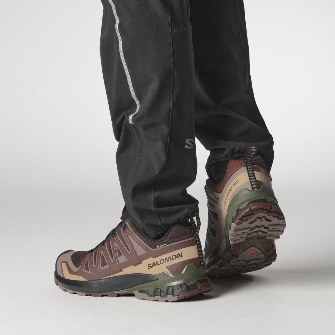 Кроссовки Salomon Xa Pro 3D V9 GTX бордовый купить,99900