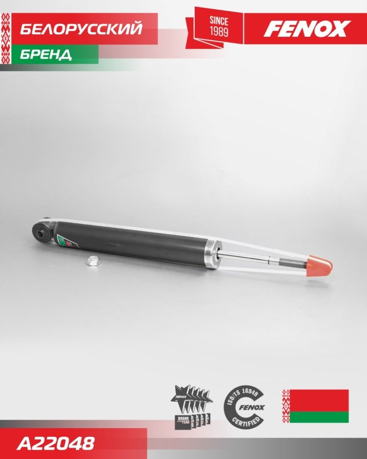 Амортизатор FENOX задний A22048 1 шт купить,21520