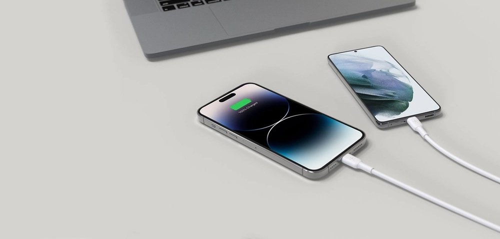 Зарядное устройство Belkin WCH013vfWH Lightning, USB Type-C 65 Вт белый - ForteMarket Зарядное устройство Belkin WCH013vfWH Lightning, USB Type-C 65 Вт белый купить,21948