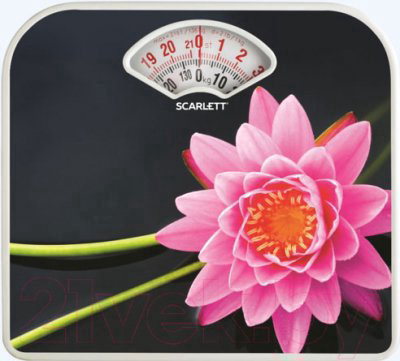 Весы Scarlett SC-BS33M043