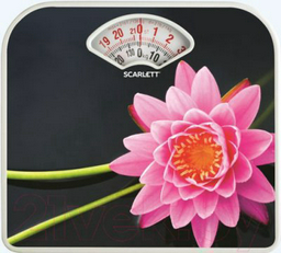 Весы Scarlett SC-BS33M043