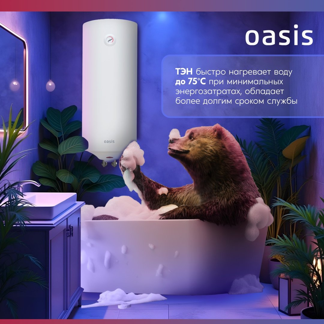 Водонагреватель Oasis MS-50 50 л - ForteMarket Водонагреватель Oasis MS-50 50 л купить,0
