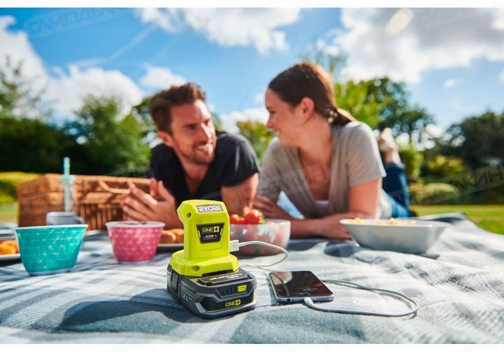 Зарядное устройство RYOBI R18USB-0 USB зеленый купить,0