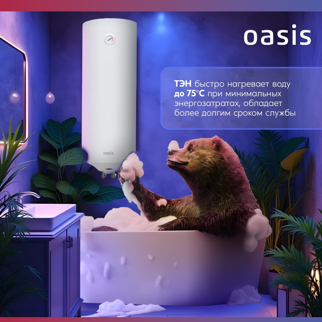 Водонагреватель Oasis MS-80 80 л - ForteMarket Водонагреватель Oasis MS-80 80 л купить,0