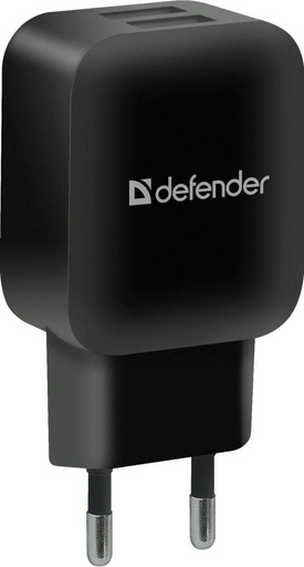 Зарядное устройство Defender EPA-13 83840 черный