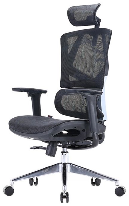 Офисное кресло Sihoo M90C-401, черный купить,function inputValueFn(){if((0,signal2.mK)(node),node.value===REQUIRED_UNSET_VALUE)throw new root_effect_scheduler.buA(-950,null);return node.value}